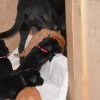 6 Woche